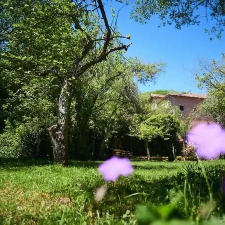 Holiday home La Casa Del Manco *
